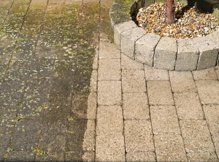 shutterstock_2021395109-scaled-e1674674690287