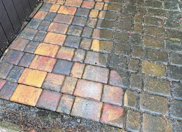 herbstlaubpflaster_Steinreinigung